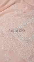 AB Hand Embroideries Chiffon Embroidered Unstitched 2-Piece Suit
