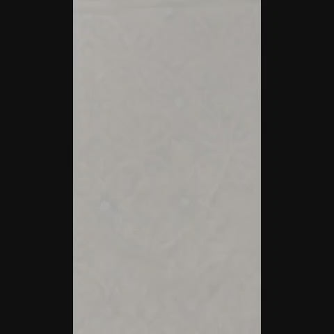 WhatsApp Video 2025-08-14 at 15.18.20_ef54c816