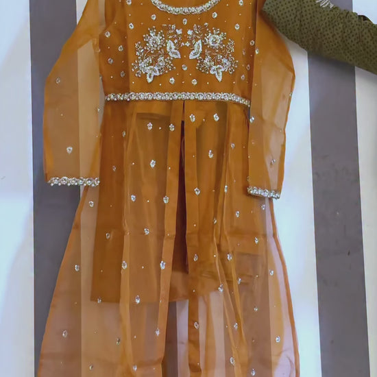 Allure By IH Luxe Formals Organza Embellished Lehenga-Coco