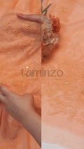 AB Hand Embroideries Chiffon Embroidered Unstitched 2-Piece Suit