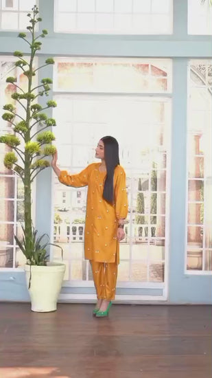 Stylish Collection Aaraish Linen Embroidered Co-Ord Set-Petal