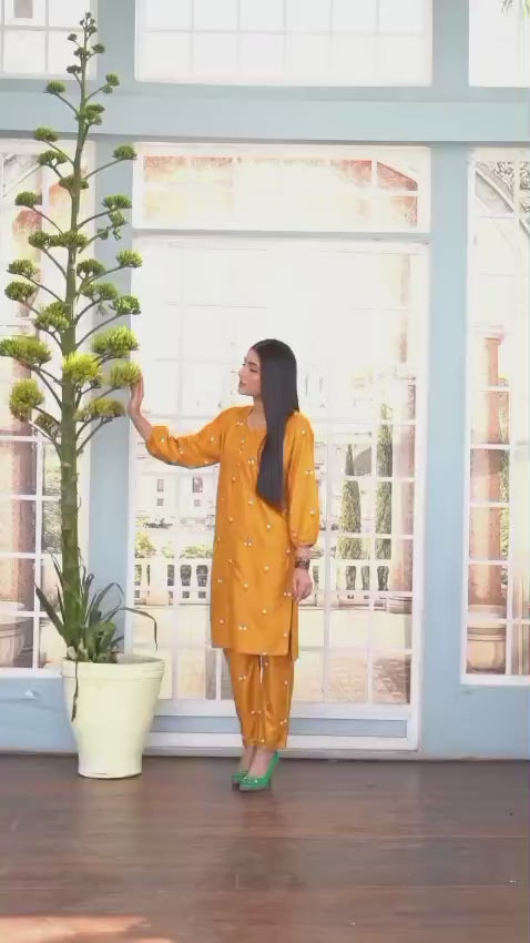 Stylish Collection Aaraish Linen Embroidered Co-Ord Set-Petal