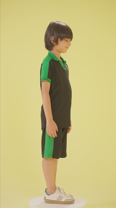 06 T