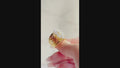 Orya Jewellery Adjustable Ring