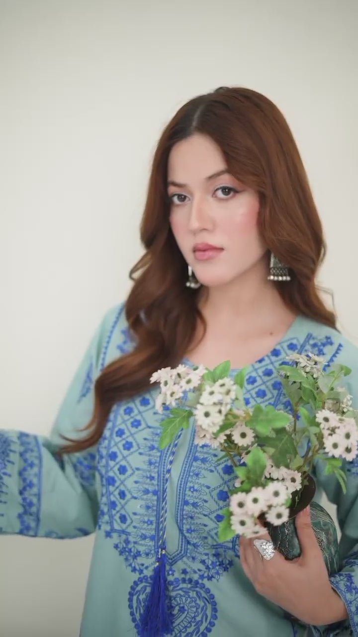 Stylish Collection Cotton Embroidered Stitched 2-Piece Suit-Jugnu Ferozi