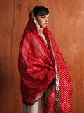 Hussain Rehar Basic Not Basic IV Raw Silk Embroidered Stitched 3-Piece Suit-Calla