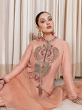 Hussain Rehar Moon In The Golden Cup Raw Silk Embellished Stitched 2-Piece Suit-Trinket
