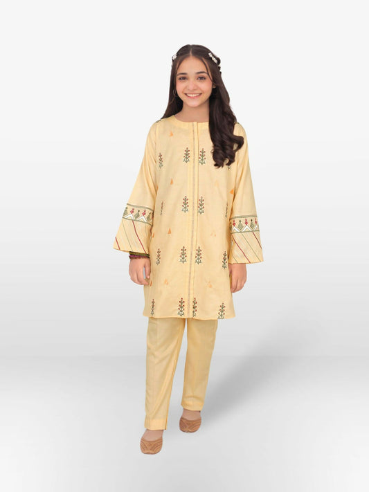 Summer cotton stitched Top & Capri set with full sleeves, featuring a designer look and customized fit.
