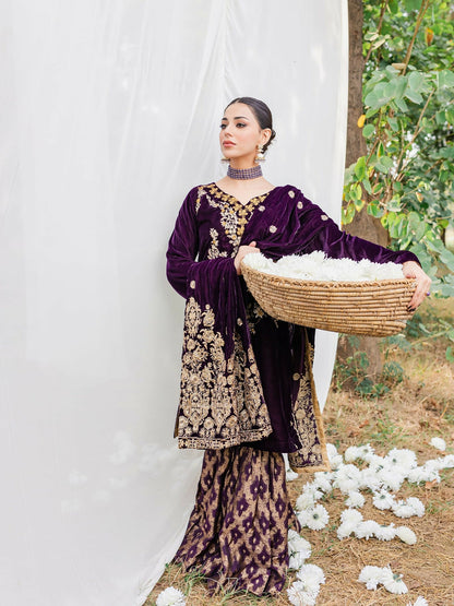 Panache Apparel Velvet Edit Micro Velvet 9000 Embroidered Stitched Suit-Moor