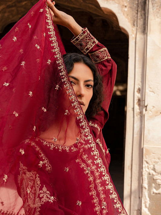 Mannat Clothing Organza Embroidered Dupatta-Raeesa