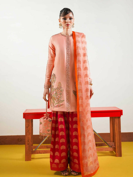 Light Pink Hussain Rehar BASIC NOT BASIC IV Raw Silk Embroidered Stitched 3-Piece Suit-Blush