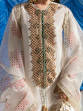 Hussain Rehar Candy Soap Raw Silk Embellished Stitched 3-Piece Suit-Porcelain