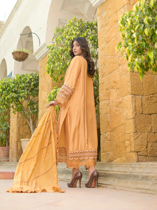 Farooq Hameed Studio Raw Silk Embroidered Stitched 3-Piece Suit-Safina