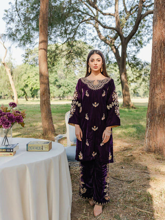 Panache Apparel Winter Edit Micro Velvet 9000 Embroidered Stitched 2-Piece Suit-Mehmal